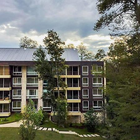 Departamento Familiar Apartment Pucon Exterior photo